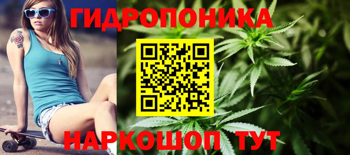 Бошки марихуана ГИДРОПОН Лесосибирск